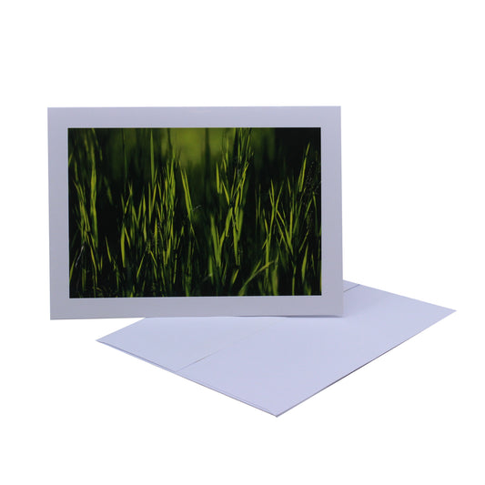 Tall Green Grass - Art Card