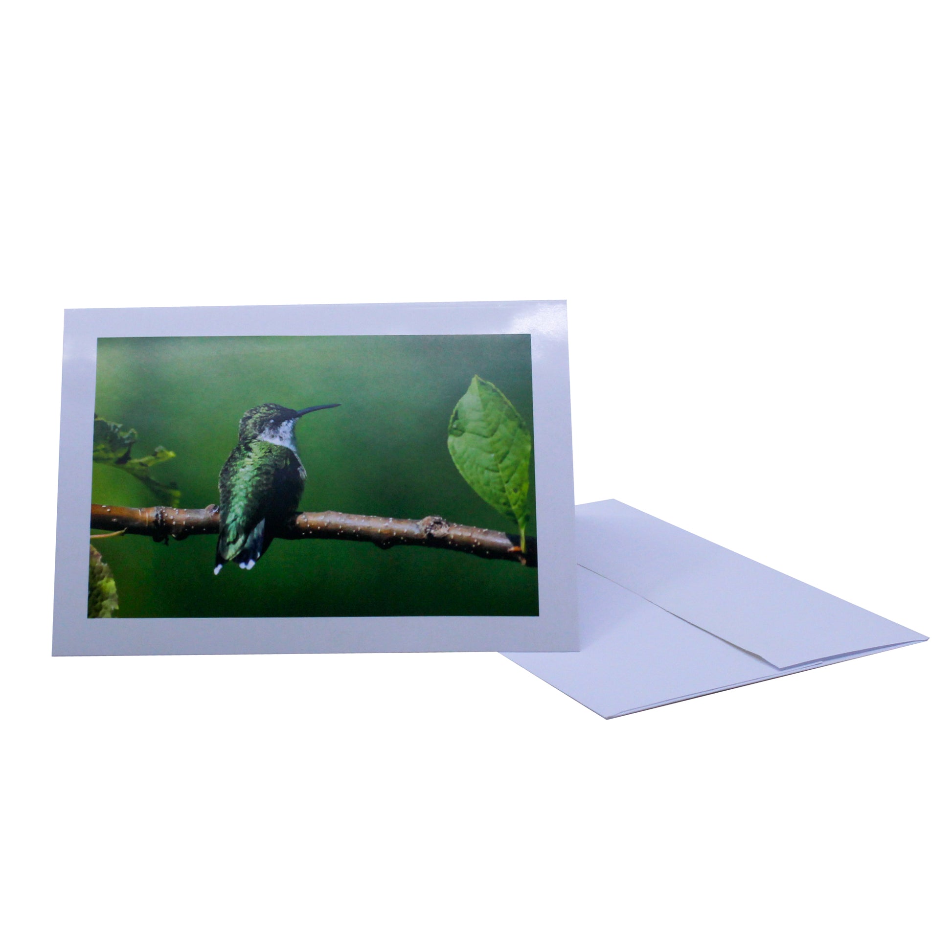 Greeting card of a green humming bird