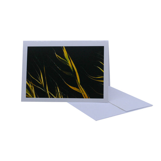 Greeting card of grass in the wind