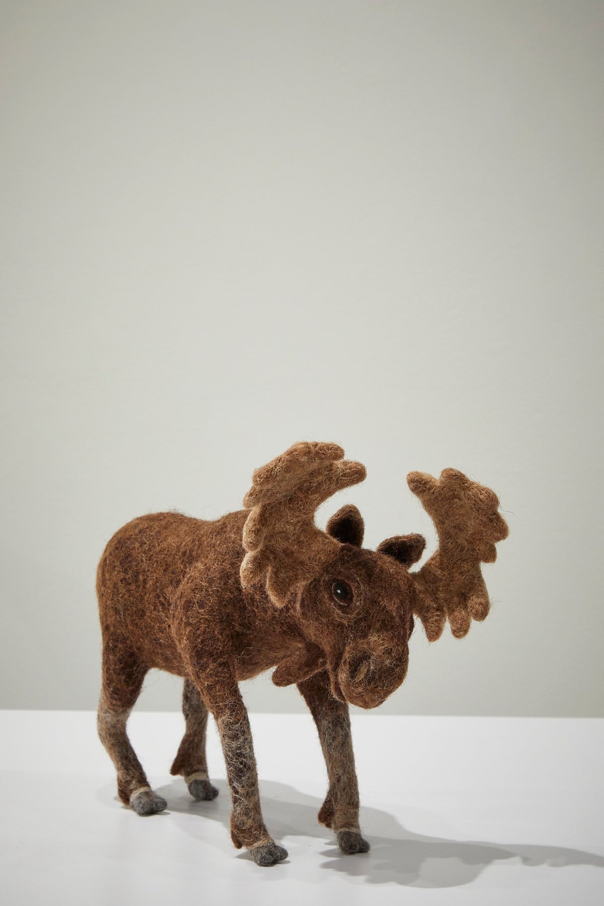 Moose