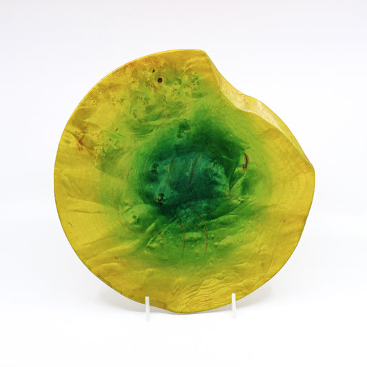 Wood plate that is dyed a gradient rim to center yellow to green. Plate is not circular, but with an attractive notch carved out from 12 to 2 