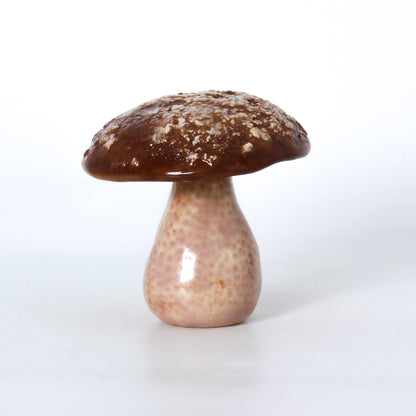 clay mushroom 