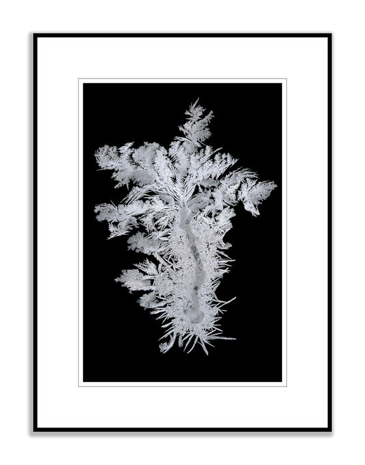 Embraceable You - Framed Photograph