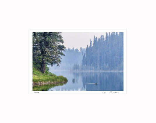 Photograph of a smoky lake and loon