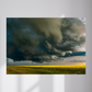Canola Storm - Metal photo print