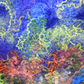 Northern Lights - Framed felting