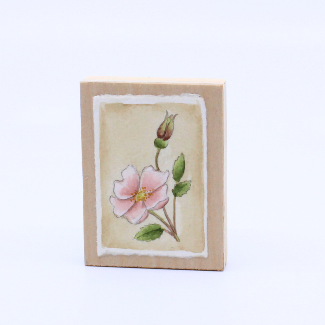 Wild Rose - Mini panel painting