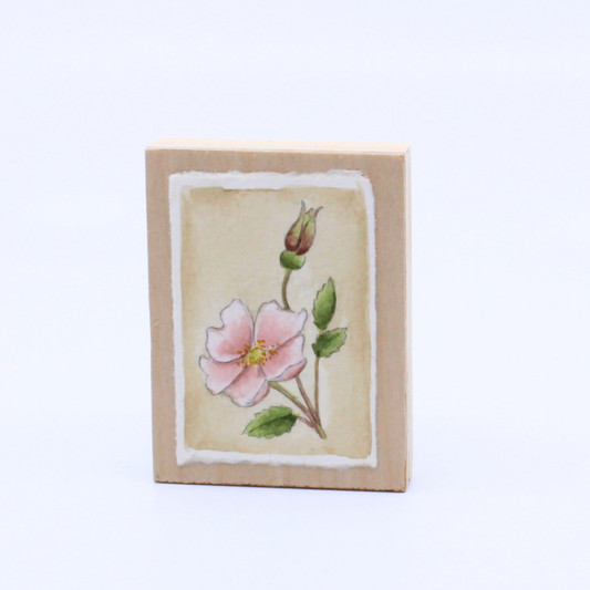 Wild Rose - Mini panel painting