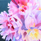 Dahlia Explosion - Oil painting