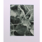 First Connection  - Photogravure print