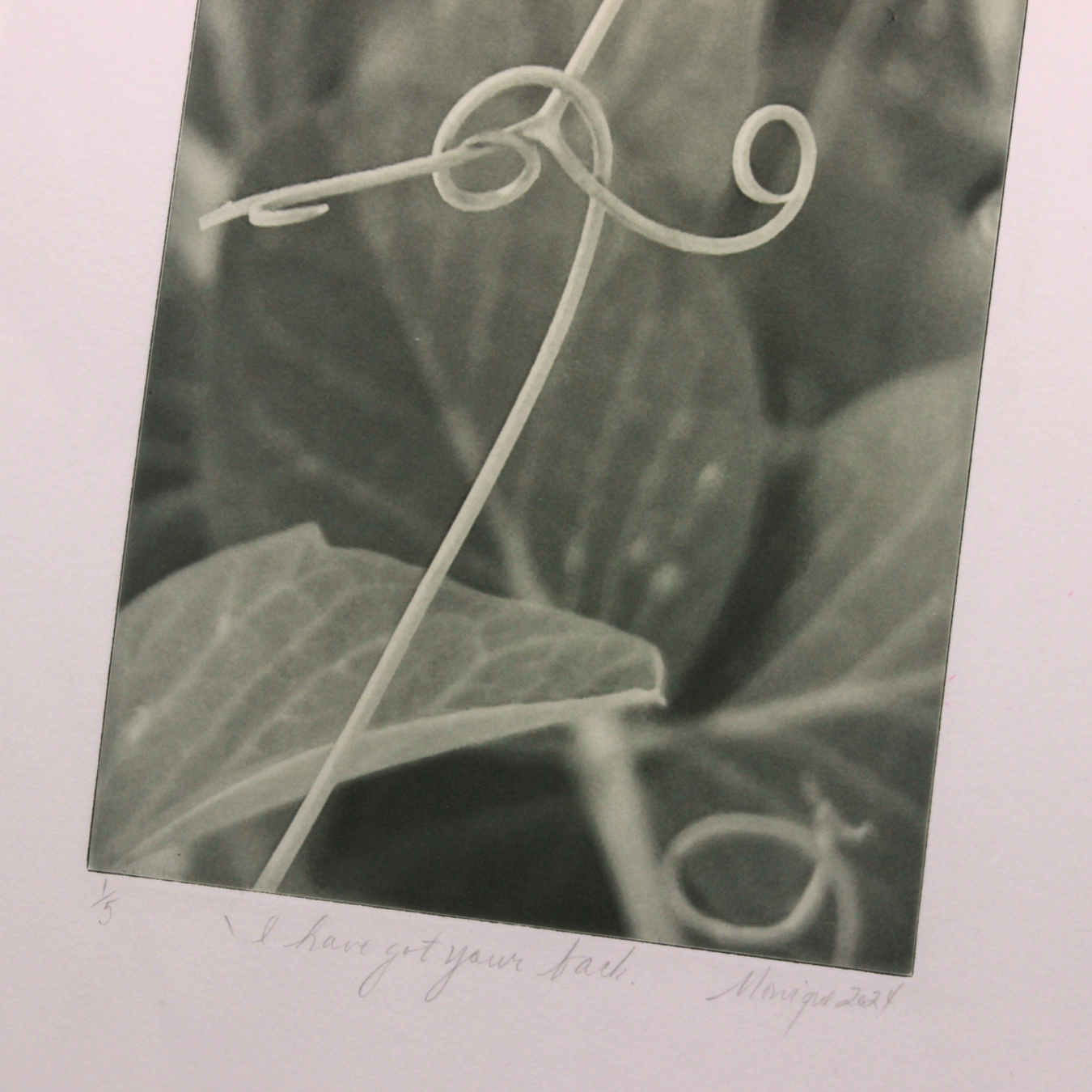 I have got your back - Photogravure print