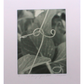 I have got your back - Photogravure print