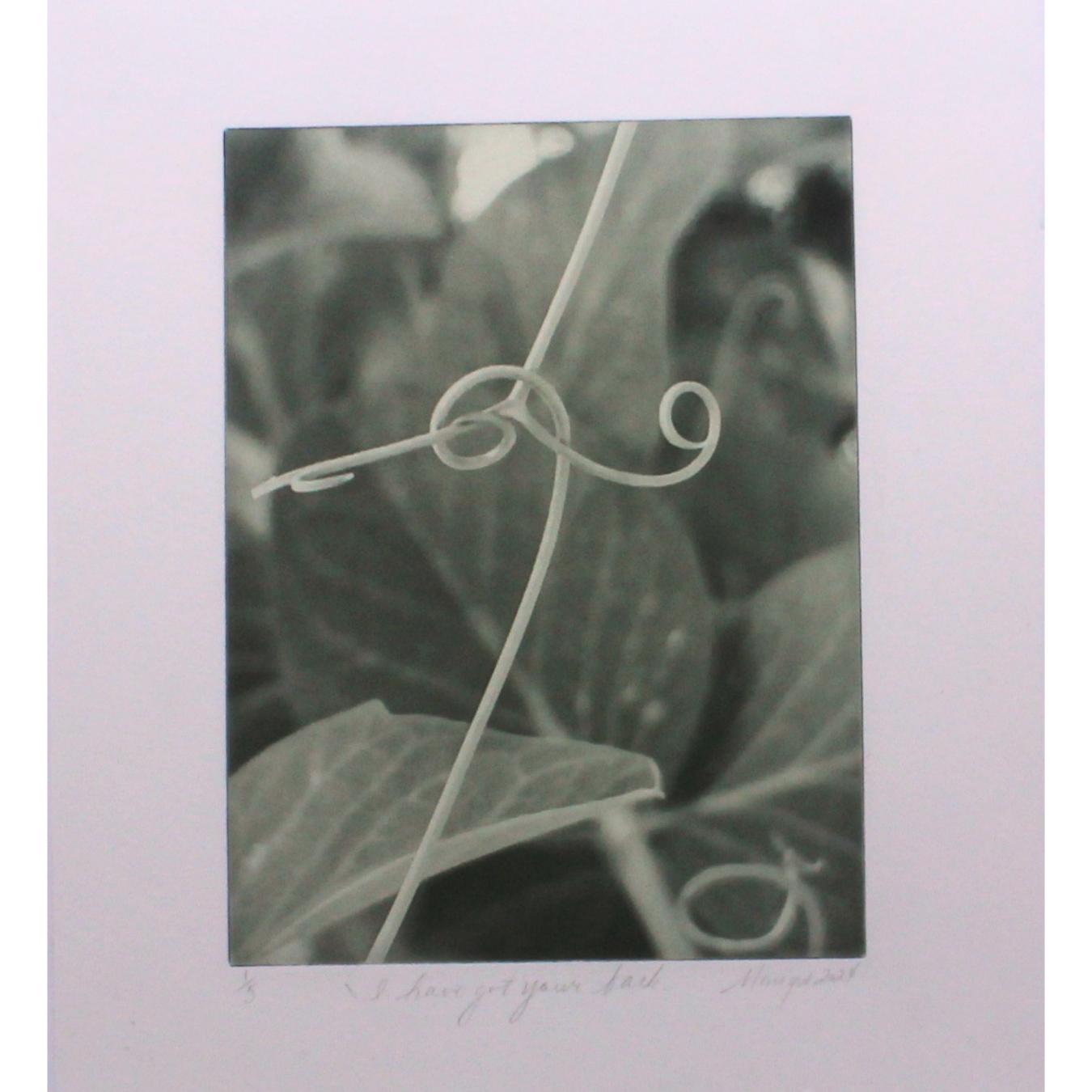 I have got your back - Photogravure print
