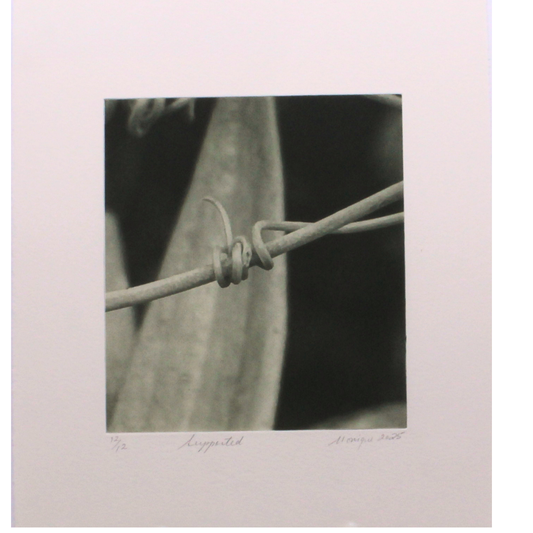 Supported - Photogravure print
