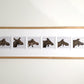 A framed series of six prints, each featuring a moose's mugshot.