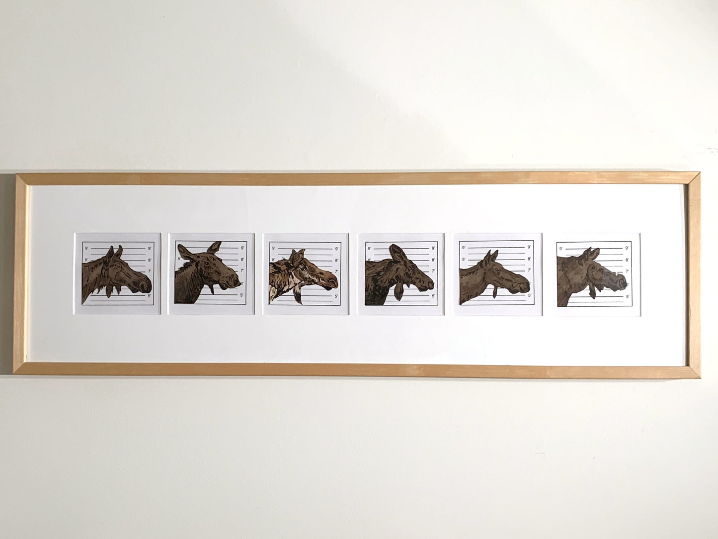 A framed series of six prints, each featuring a moose's mugshot.