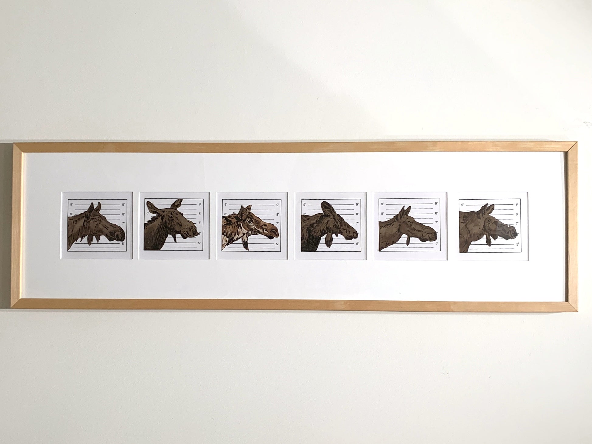 A framed series of six prints, each featuring a moose's mugshot.
