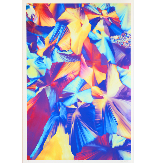 Fan Dance - Unmatted photograph