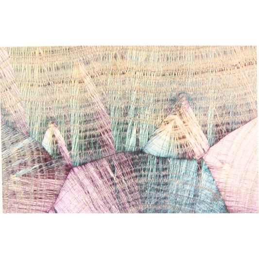 Cones - Unmatted photograph