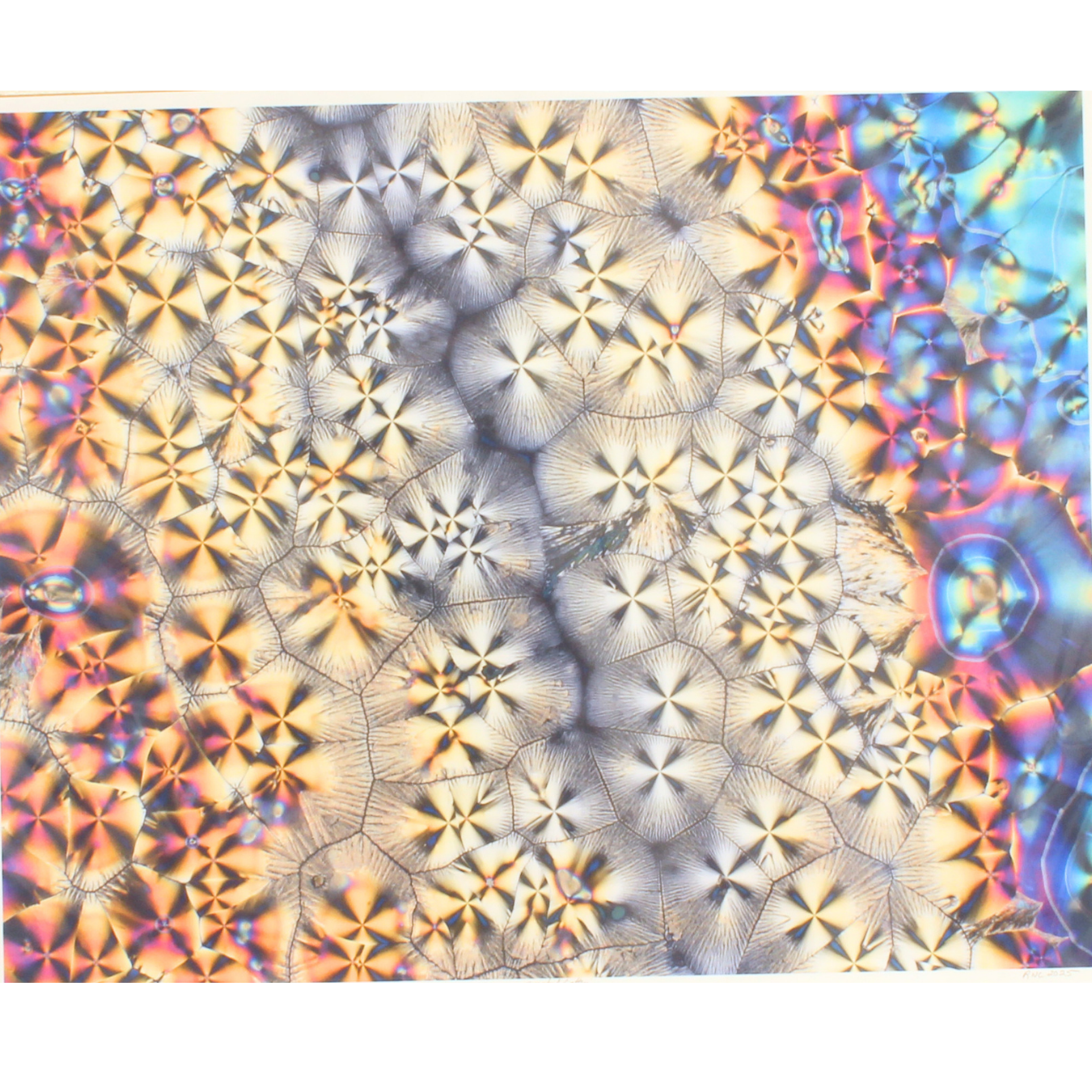 Crystal Lace - Unmatted photograph