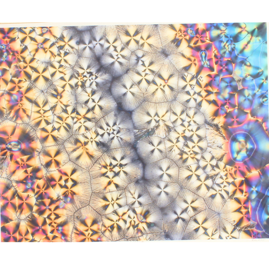 Crystal Lace - Unmatted photograph