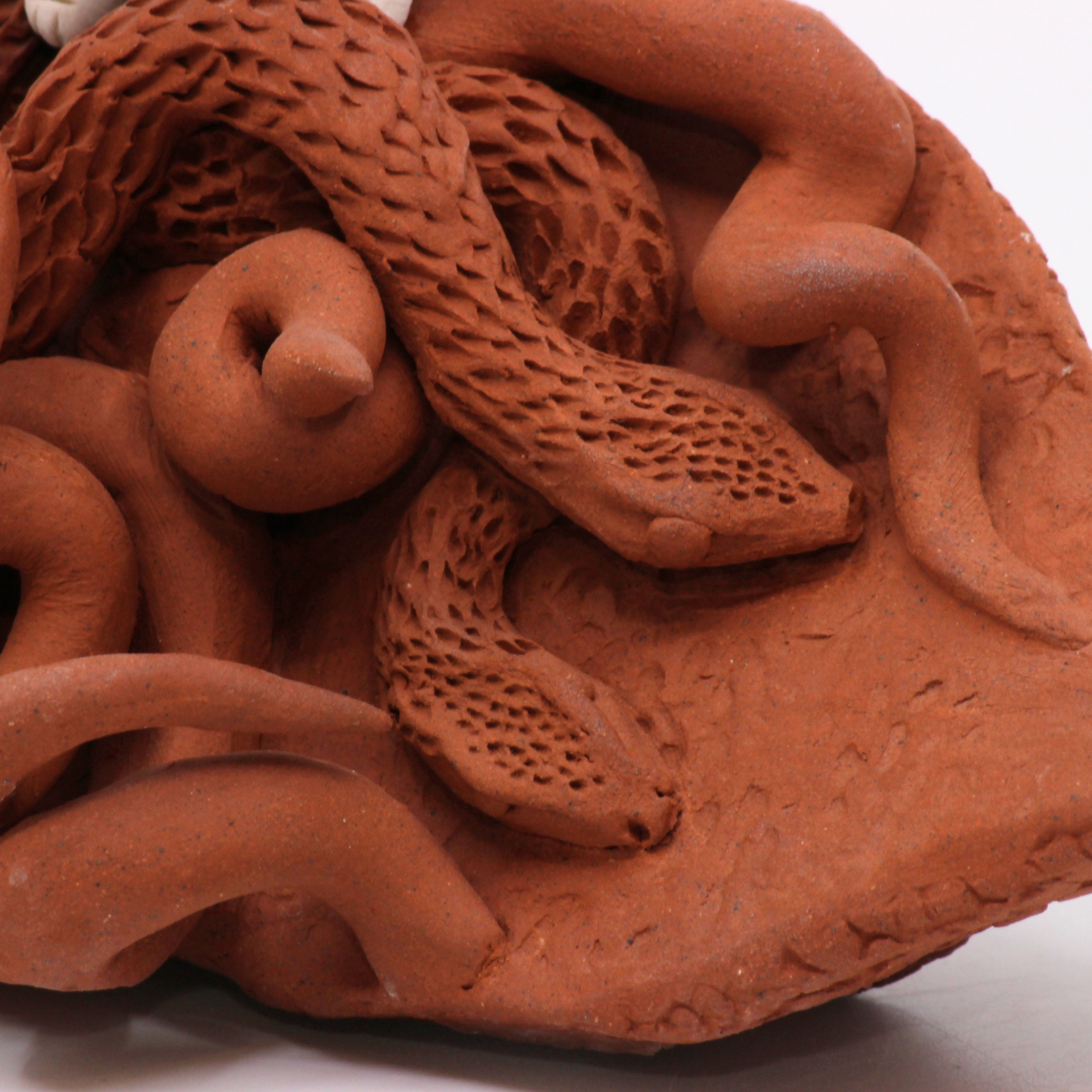 Owl on Snake IV