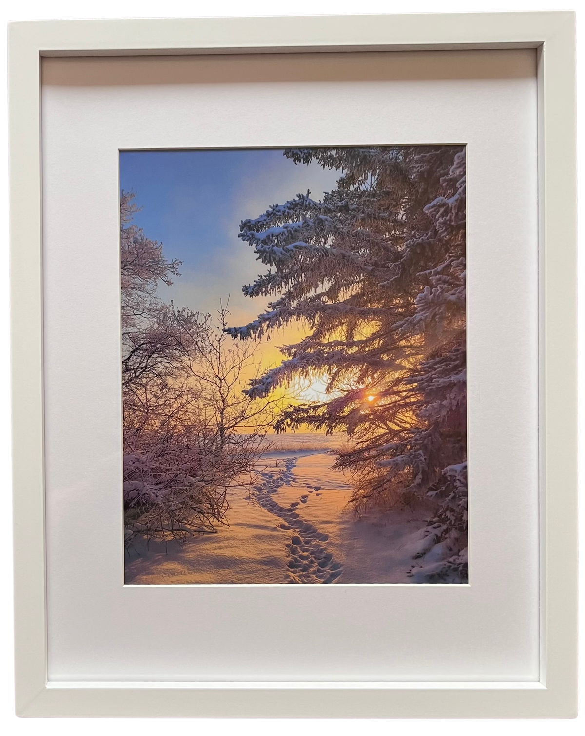 Winter Serenity