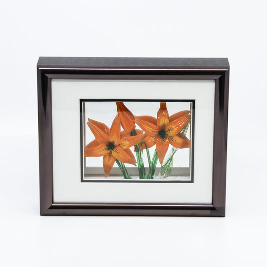 Framed Orange Lily (Large)