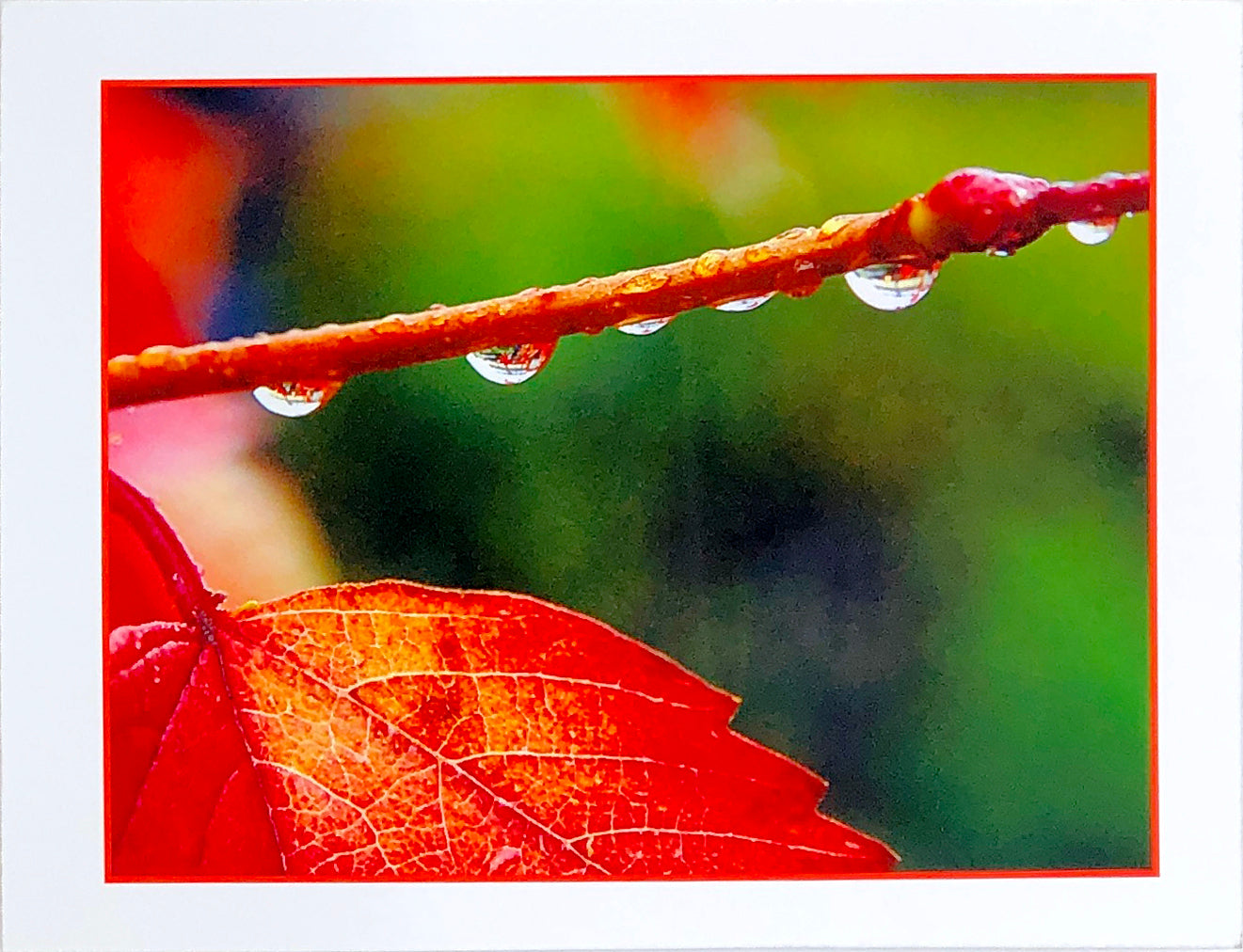 Art Card - Red Leaf Rain