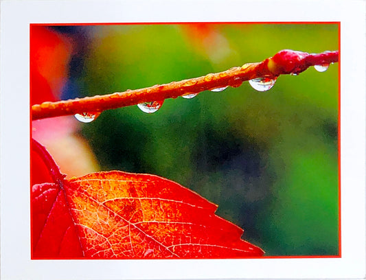 Red Leaf Pain - Art Card