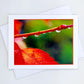 Art Card - Red Leaf Rain