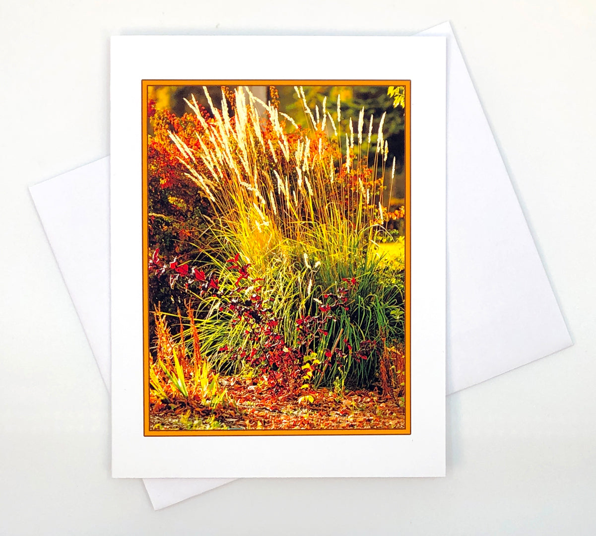Art Card - Fall Grasses