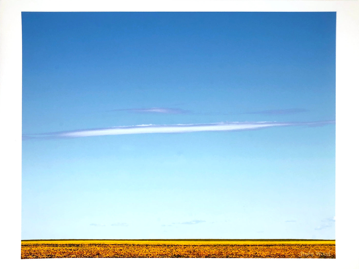 Prairie Minimalism - Photograph
