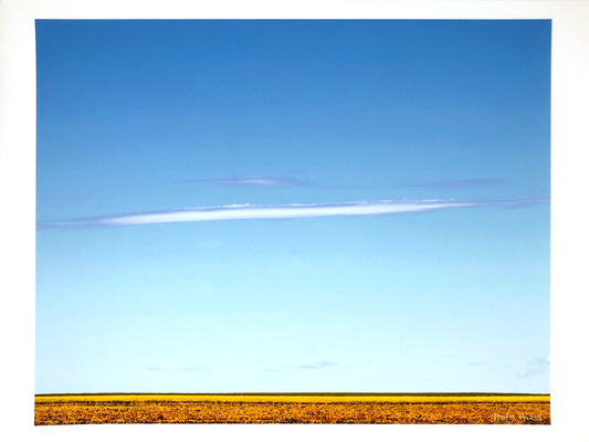 Prairie Minimalism - Photograph