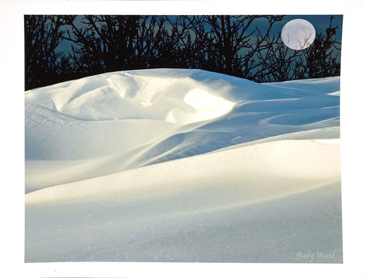Snow Moon Branches - Photograph