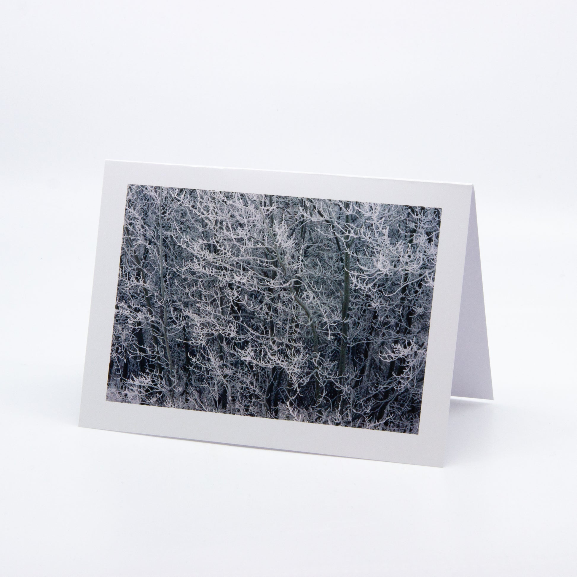 Photo art card of frosty trees
