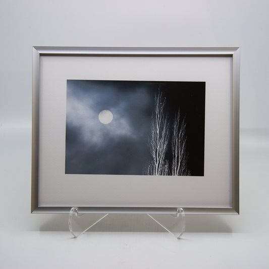 Framed photograph of moon and white trees