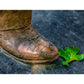 Photo of a boot and a leaf