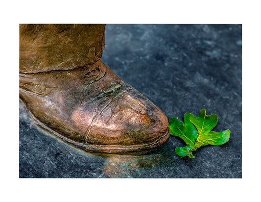 Photo of a boot and a leaf
