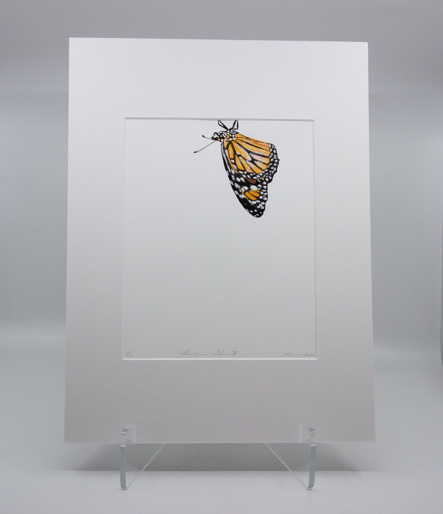 Matted print of a monarch butterfly. 8/9. 