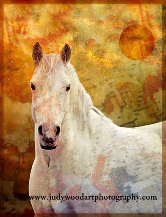 White Pony - Art Board